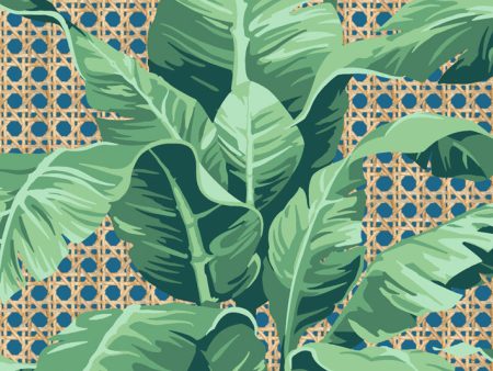 Sunnylands Palm  Wallpaper by Nathan Turner - Cadet Blue Cheap