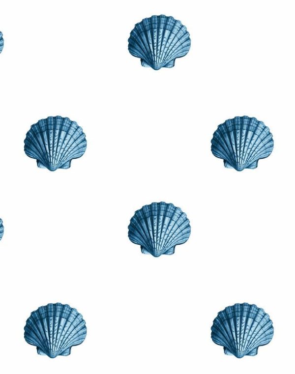 Seashell  Wallpaper by Wallshoppe - Blue Online Hot Sale