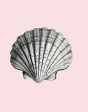 Seashell  Wallpaper by Wallshoppe - Shell Online