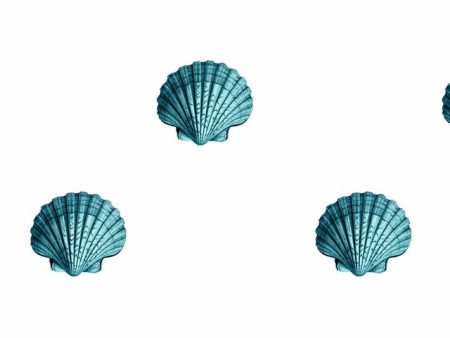 Seashell  Wallpaper by Wallshoppe - Teal Hot on Sale