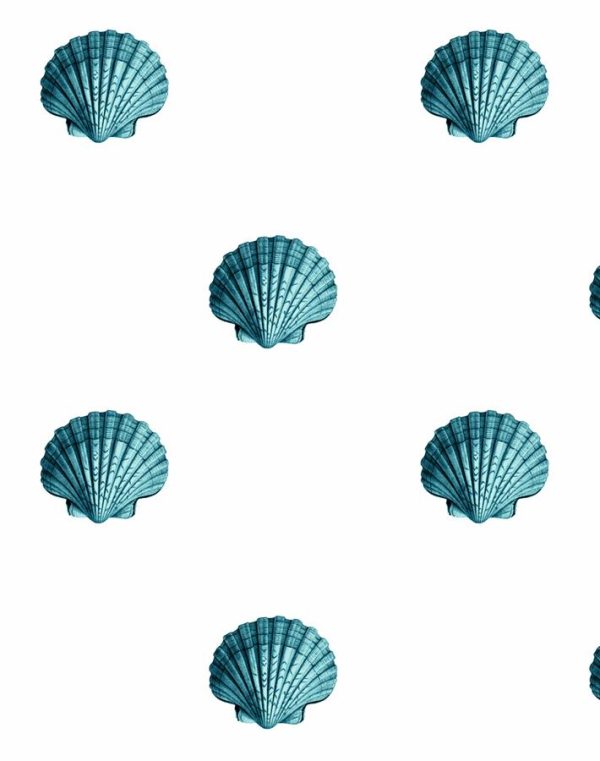 Seashell  Wallpaper by Wallshoppe - Teal Hot on Sale