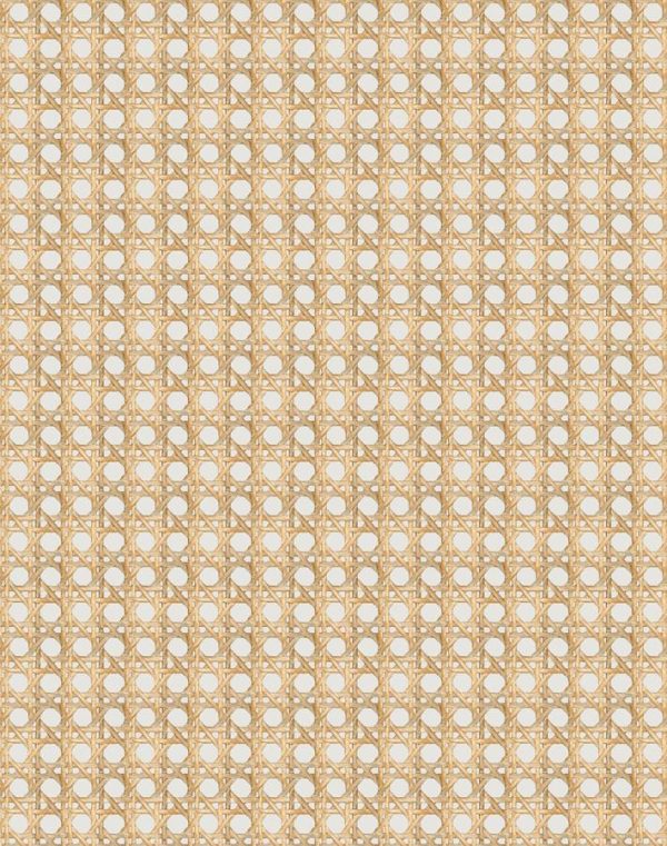 Faux Caning  Wallpaper by Wallshoppe - Sand on Sale