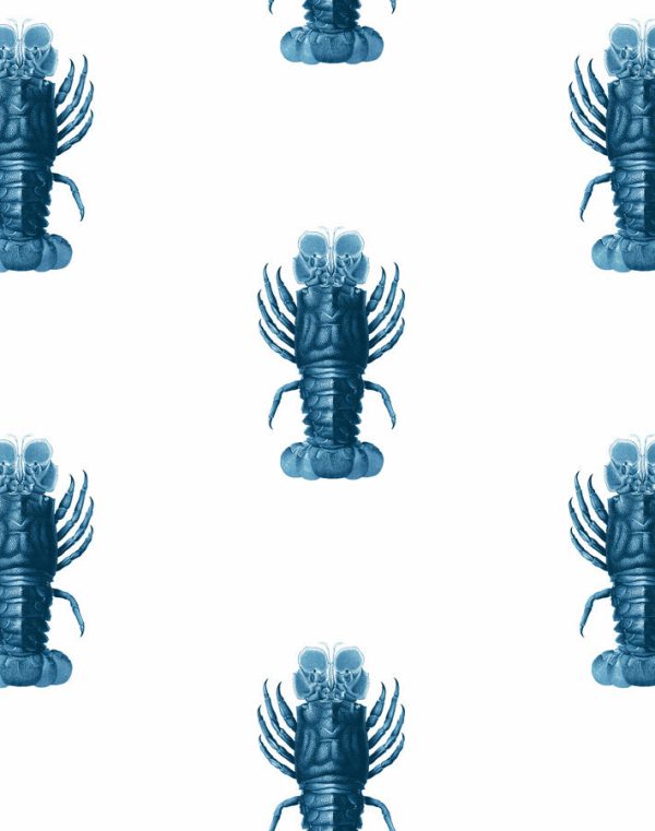 Jack The Crustacean  Wallpaper by Wallshoppe - Blue Hot on Sale