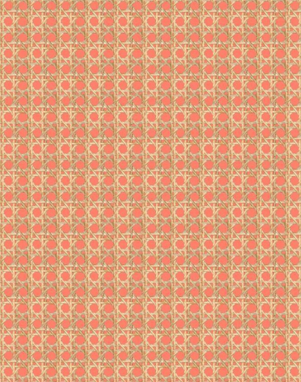 Faux Caning  Wallpaper by Wallshoppe - Watermelon Online now