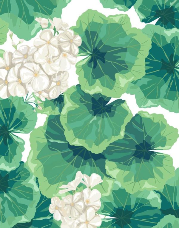 Geranium  Wallpaper by Nathan Turner - White Online now