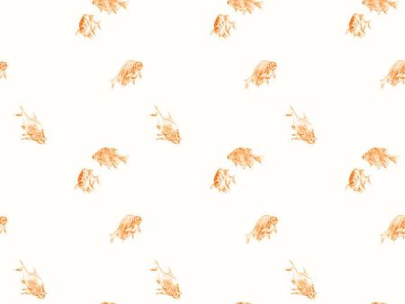 Goldfish  Wallpaper by Nathan Turner - White Cheap