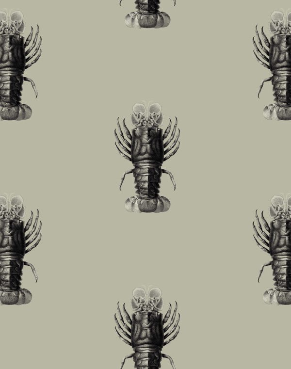 Jack The Crustacean  Wallpaper by Wallshoppe - Antique Online now