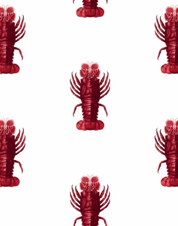 Jack The Crustacean  Wallpaper by Wallshoppe - Red Sale