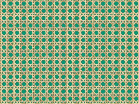 Faux Caning  Wallpaper by Wallshoppe - Emerald Online