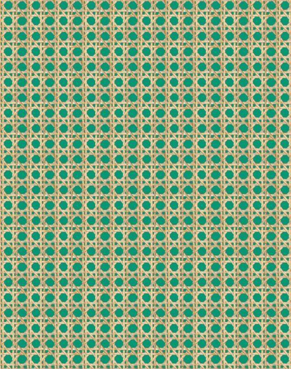 Faux Caning  Wallpaper by Wallshoppe - Emerald Online