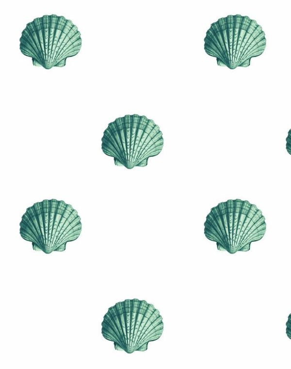 Seashell  Wallpaper by Wallshoppe - Green For Discount