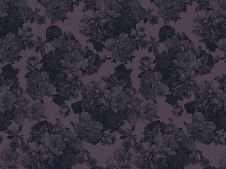 Barbara Ann  Wallpaper by Wallshoppe - Aubergine Online now