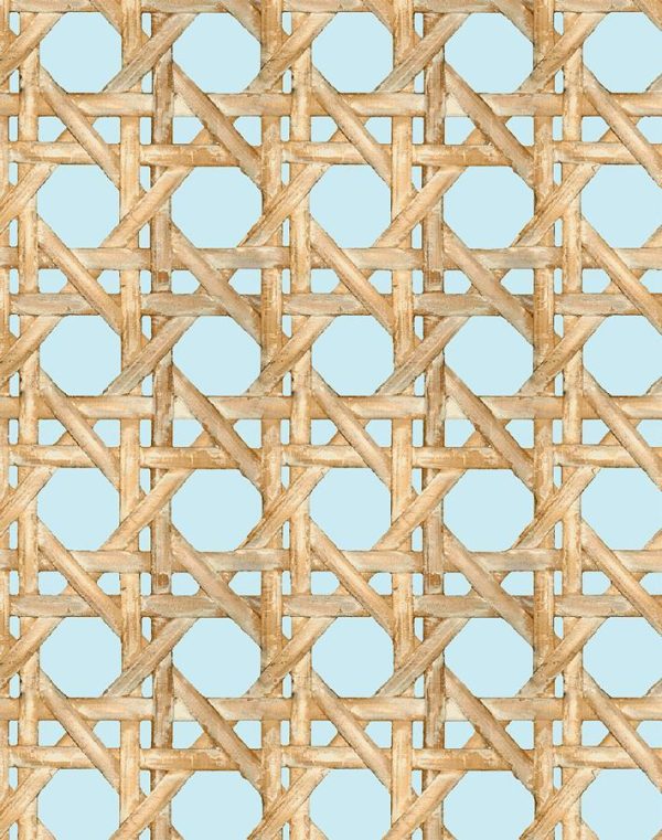 Faux Caning  Wallpaper by Wallshoppe - Sky For Sale