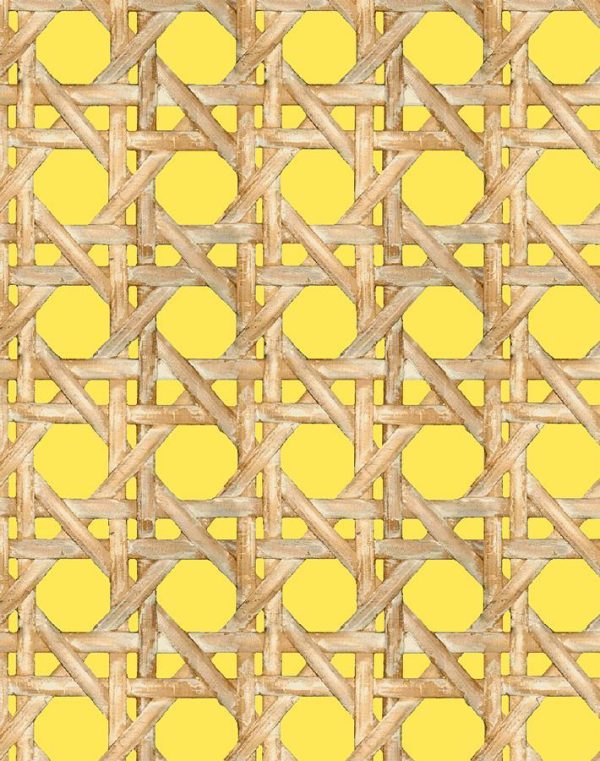 Faux Caning  Wallpaper by Wallshoppe - Daffodil Online Sale