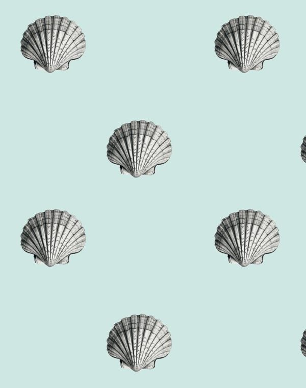 Seashell  Wallpaper by Wallshoppe - Seafoam Sale