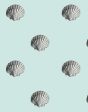 Seashell  Wallpaper by Wallshoppe - Seafoam Sale