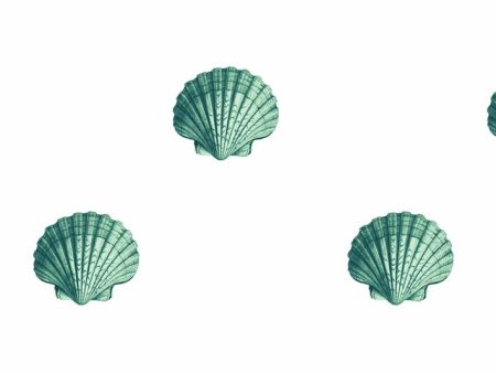 Seashell  Wallpaper by Wallshoppe - Green For Discount