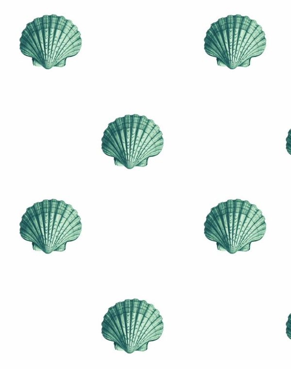 Seashell  Wallpaper by Wallshoppe - Green For Discount