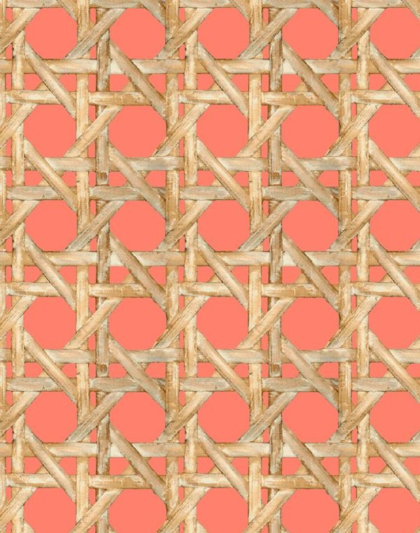 Faux Caning  Wallpaper by Wallshoppe - Watermelon Online now