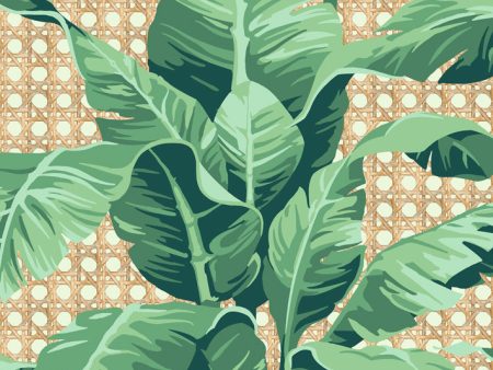 Sunnylands Palm  Wallpaper by Nathan Turner - Pistachio Online now