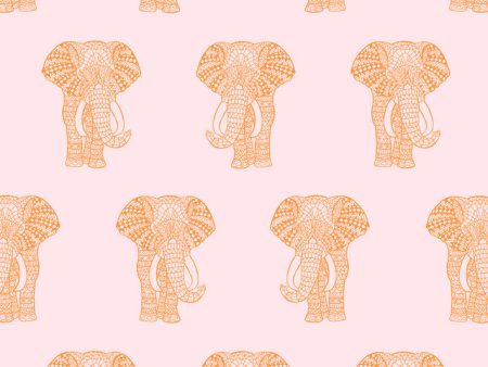 Raja The Elephant  Wallpaper by Wallshoppe - Pink Online now