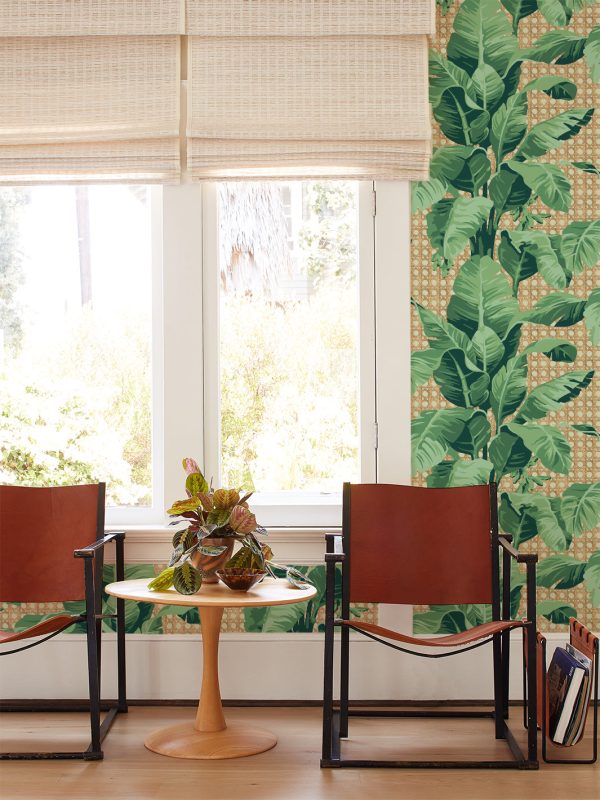 Sunnylands Palm  Wallpaper by Nathan Turner - Pistachio Online now