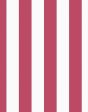 Candy Stripe  Wallpaper by Wallshoppe - Rose Online Hot Sale