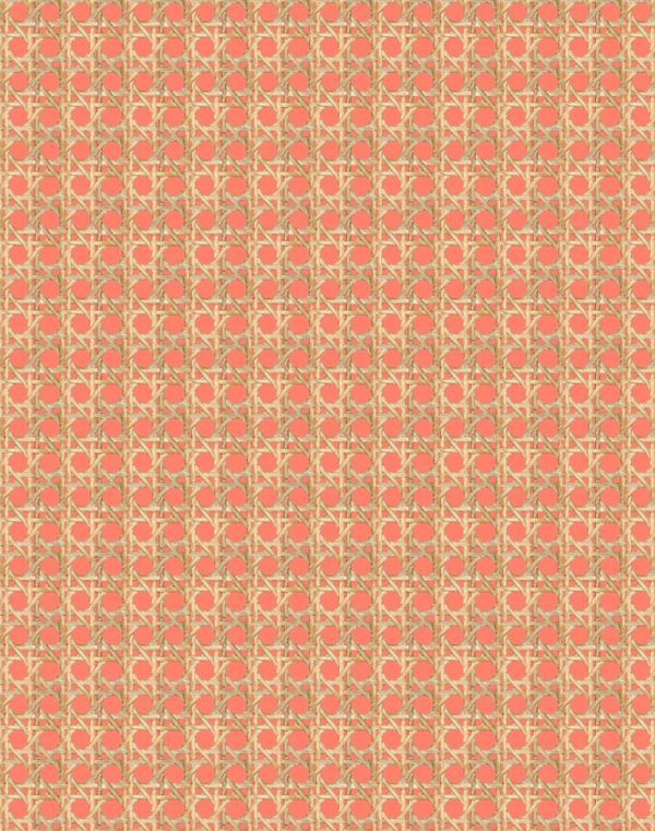 Faux Caning  Wallpaper by Wallshoppe - Watermelon Online now