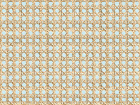 Faux Caning  Wallpaper by Wallshoppe - Sky For Sale