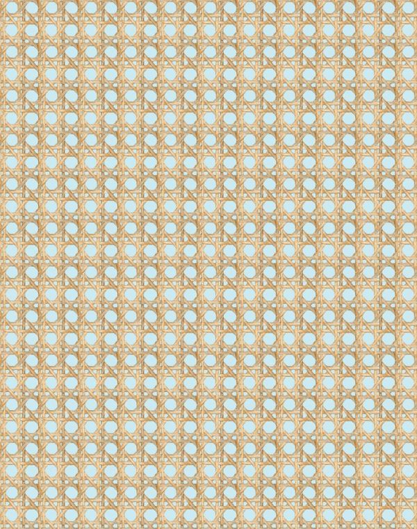 Faux Caning  Wallpaper by Wallshoppe - Sky For Sale