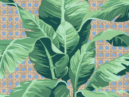 Sunnylands Palm  Wallpaper by Nathan Turner - Denim Fashion