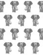 Raja The Elephant  Wallpaper by Wallshoppe - Onyx Online now