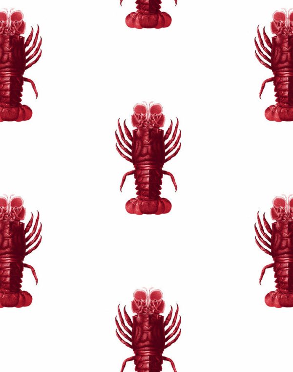 Jack The Crustacean  Wallpaper by Wallshoppe - Red Sale