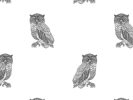 Otus The Owl  Wallpaper by Wallshoppe - Onyx On White For Discount