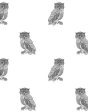 Otus The Owl  Wallpaper by Wallshoppe - Onyx On White For Discount