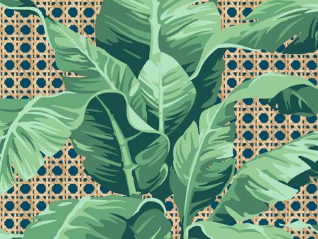 Sunnylands Palm  Wallpaper by Nathan Turner - Indigo Supply