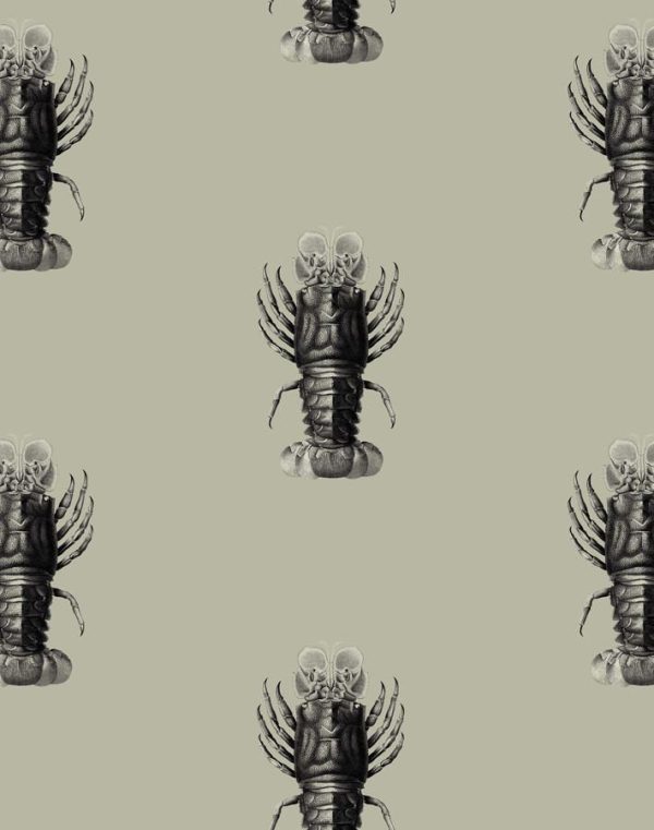 Jack The Crustacean  Wallpaper by Wallshoppe - Antique Online now