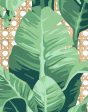 Sunnylands Palm  Wallpaper by Nathan Turner - White Fashion