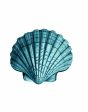 Seashell  Wallpaper by Wallshoppe - Teal Hot on Sale