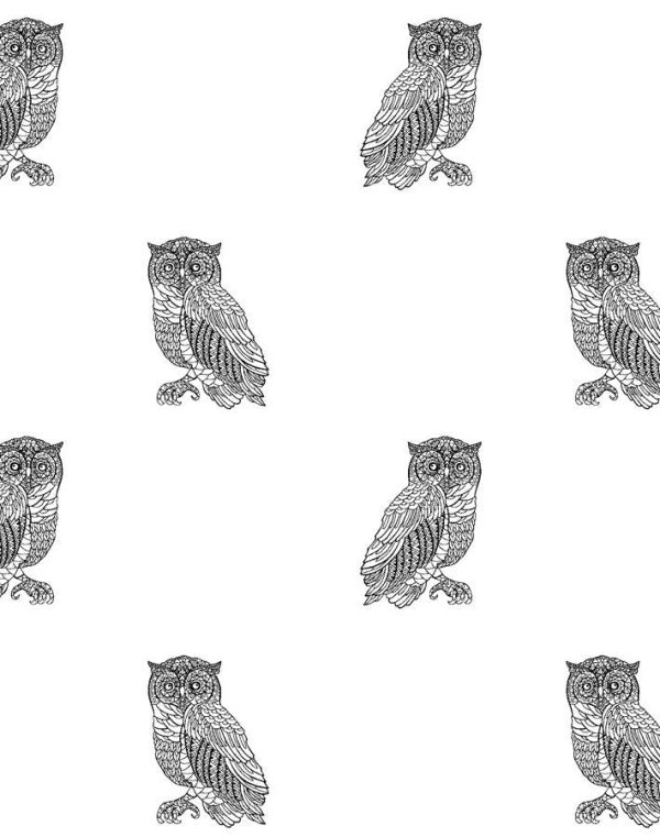 Otus The Owl  Wallpaper by Wallshoppe - Onyx On White For Discount