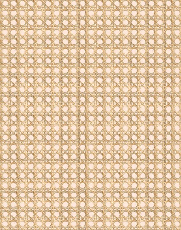 Faux Caning  Wallpaper by Wallshoppe - Peach Online Hot Sale