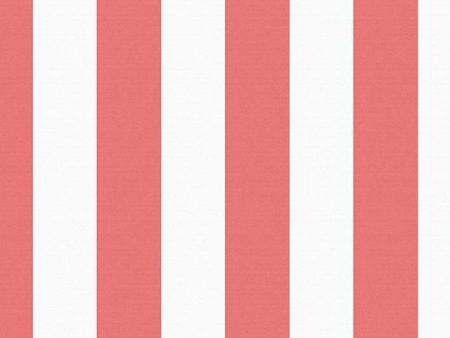 Candy Stripe  Wallpaper by Wallshoppe - Watermelon Hot on Sale