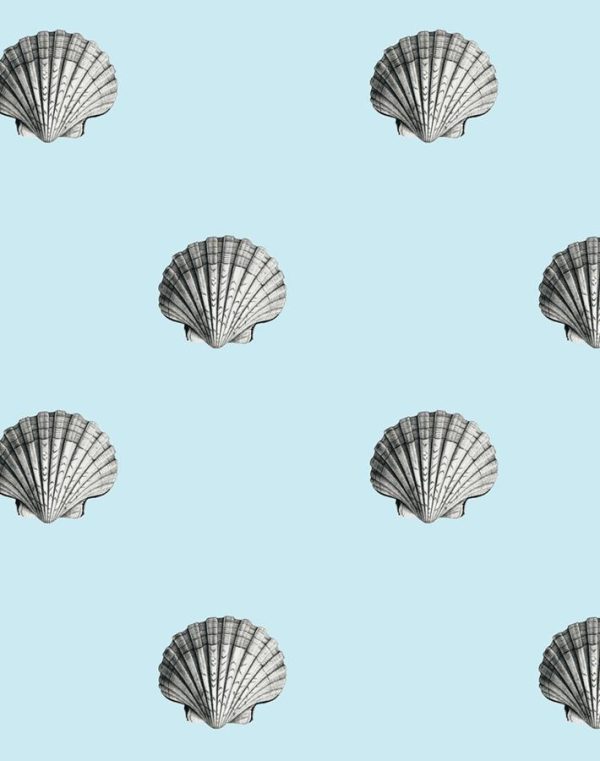 Seashell  Wallpaper by Wallshoppe - Sky Cheap