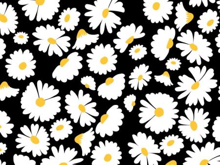 Pop Daisy  Wallpaper by Wallshoppe - Onyx on Sale