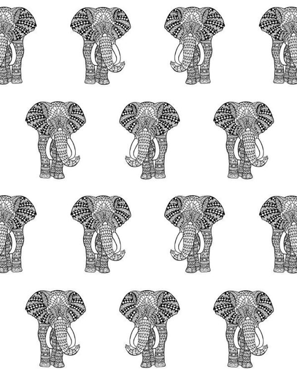 Raja The Elephant  Wallpaper by Wallshoppe - Onyx Online now