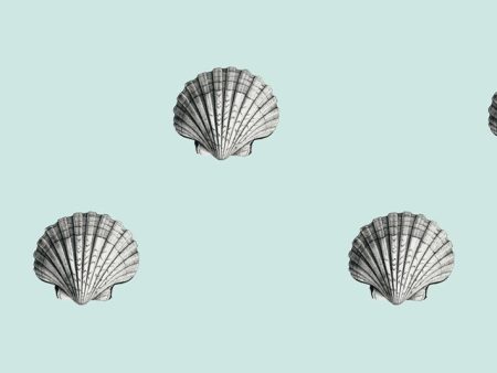 Seashell  Wallpaper by Wallshoppe - Seafoam Sale