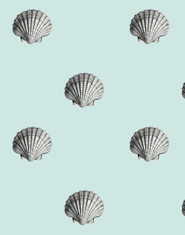 Seashell  Wallpaper by Wallshoppe - Seafoam Sale