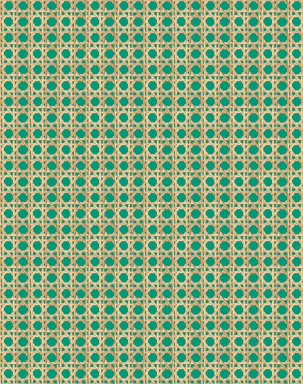 Faux Caning  Wallpaper by Wallshoppe - Emerald Online