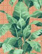 Sunnylands Palm  Wallpaper by Nathan Turner - Persimmon For Cheap