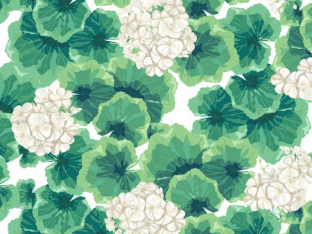 Geranium  Wallpaper by Nathan Turner - White Online now